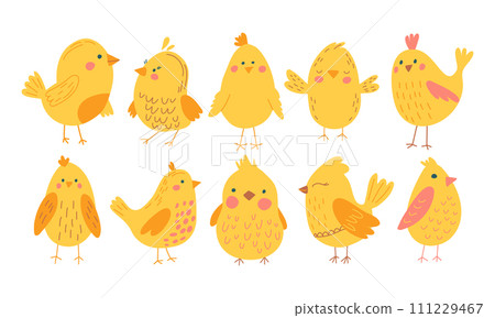 Vector color handdrawn cute easter set with chickens in flat style on a white background. Easter set 111229467