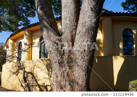 Former Tama Seiseki Memorial Hall (Tama City, Tokyo) 111229486