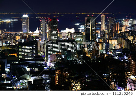 [Hyogo Prefecture] Night view of Kobe seen from Mt. Rokko 111230246