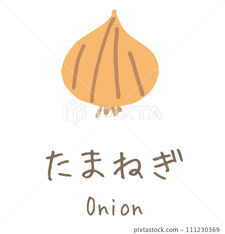 洋蔥圖 111230369