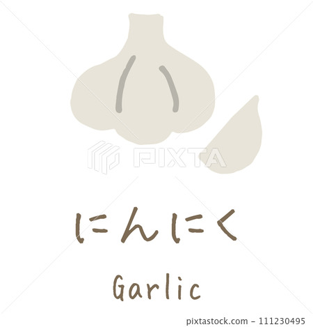 大蒜插圖 111230495