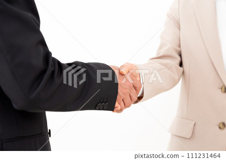 Middle-age businessmen and businesswomen in suits shaking hands Middle-age businessmen and businesswomen in suits shaking hands 111231464
