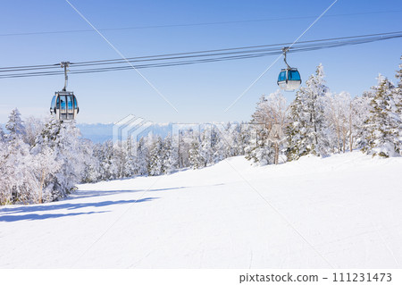 Clear winter scenery at Shiga Kogen Ski Resort 111231473
