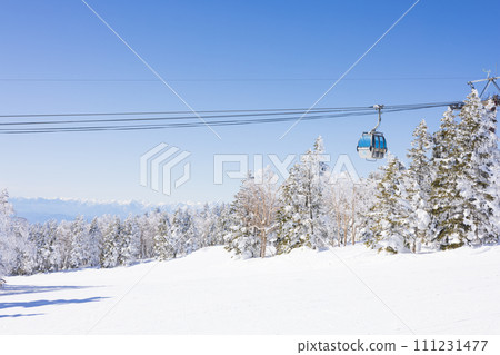 Clear winter scenery at Shiga Kogen Ski Resort 111231477