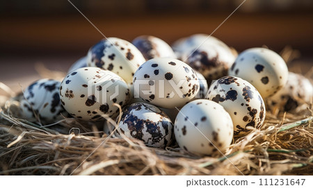Close-up of delicate speckled quail eggs. 111231647
