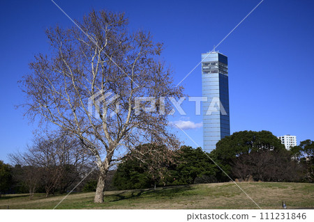 Chiba Port Park in winter Chiba Port Park in winter 111231846