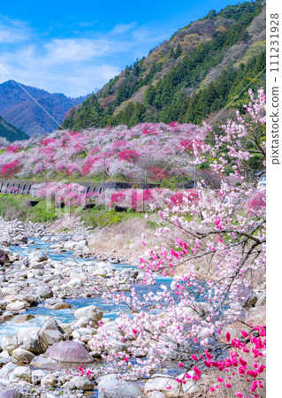 [Togenkyo] Hanamomo no Sato in Achi Village [Nagano Prefecture] 111231928