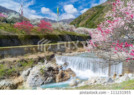 [Togenkyo] Hanamomo no Sato in Achi Village [Nagano Prefecture] 111231955