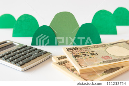 Mountains, money, and calculators, forest income, domestic lumber, logging 111232734