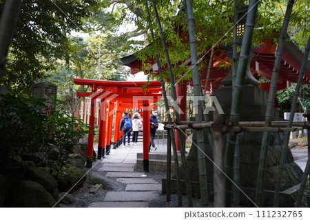 Kinomiya Shrine in Atami 111232765