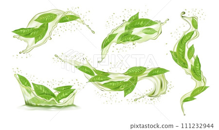 Green tea. Leaf in water splash, 3d tree and liquid in motion with drops, realistic swirl and splatter, nature flow. Morning herbal drink. Botanical foliage twig. Hot beverage. Vector isolated design 111232944