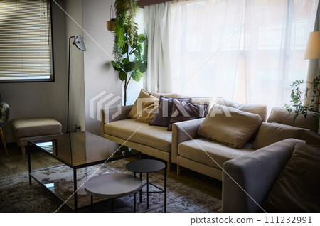 Stylish room with sofa Stylish room with sofa 111232991