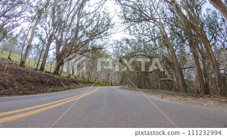 In this serene winter scene, a vehicle carefully makes its way along Los Osos Valley Road and Pecho Valley Road within Montana de Oro State Park. In this serene winter scene, a vehicle carefully makes its way along Los Osos Valley Road and Pecho Valley Road within Montana de Oro State Park. 111232994