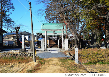 Nagata Hachiman Shrine, a power spot in Fukaya City, Saitama Prefecture 111233002