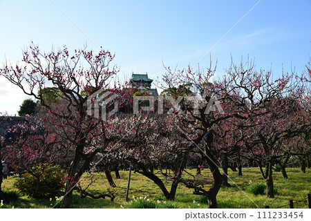 大阪城天守閣和梅園的風景。 大阪城天守閣和梅園的風景。 111233454