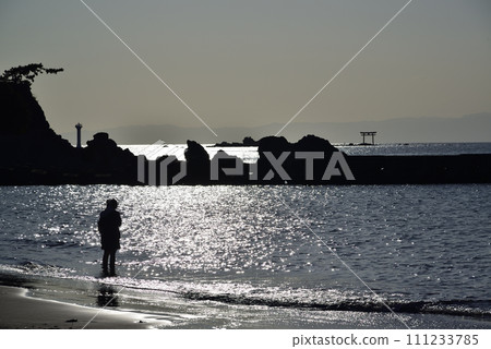 Hayama Morito海岸 111233785