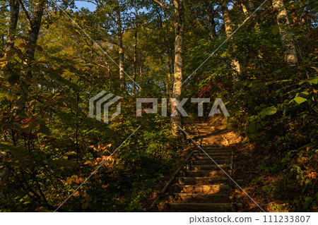 Trail Trail 111233807