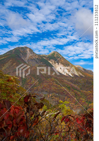 紅葉的白山（從平瀨路出發） 111233812