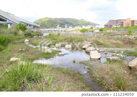兵庫縣川西市 Dragon Land/Riverbed/24 111234050