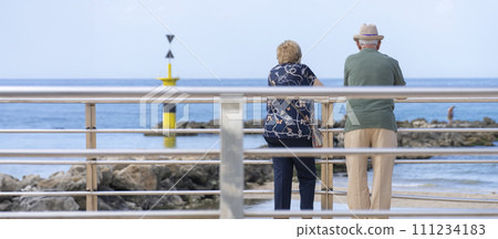 Timeless Moments by the Sea: Elderly Couple Contemplating the Ocean View 111234183