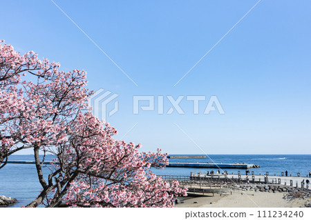 Atami City, Shizuoka Prefecture, coastal scenery Atami City, Shizuoka Prefecture, coastal scenery 111234240