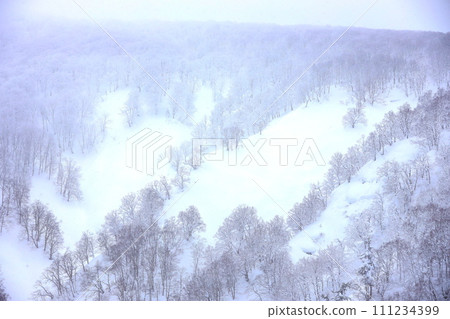 冬季青森城倉大橋的雪景 冬季青森城倉大橋的雪景 111234399