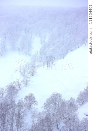 Snowy scenery from Jogakura Ohashi Bridge in Aomori in winter 111234401