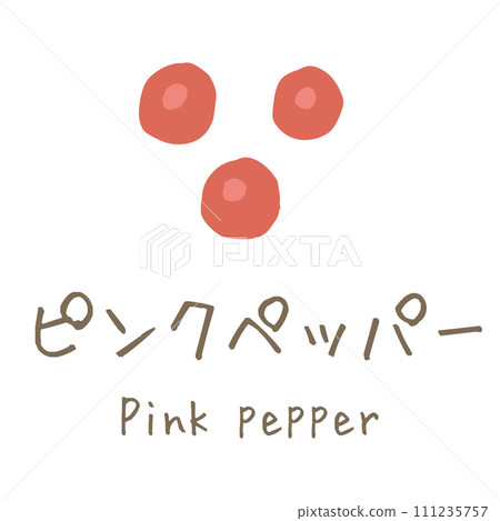 Pink pepper illustration Pink pepper illustration 111235757