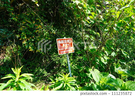 Wildlife Sanctuary/Fukuoka Prefecture 111235872