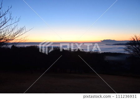 茨城縣日立大宮山王山自然公園的雲海 111236931