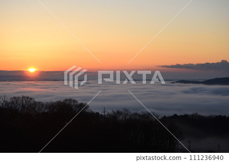 Sea of clouds in Sannozan Natural Park, Hitachi Omiya, Ibaraki Prefecture Sea of clouds in Sannozan Natural Park, Hitachi Omiya, Ibaraki Prefecture 111236940