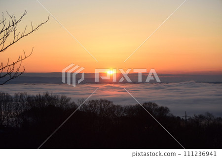 Sea of clouds in Sannozan Natural Park, Hitachi Omiya, Ibaraki Prefecture Sea of clouds in Sannozan Natural Park, Hitachi Omiya, Ibaraki Prefecture 111236941