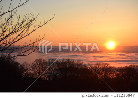 茨城縣日立大宮山王山自然公園的雲海 茨城縣日立大宮山王山自然公園的雲海 111236947