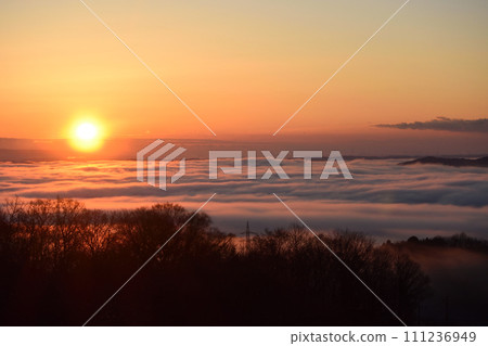 茨城縣日立大宮山王山自然公園的雲海 茨城縣日立大宮山王山自然公園的雲海 111236949