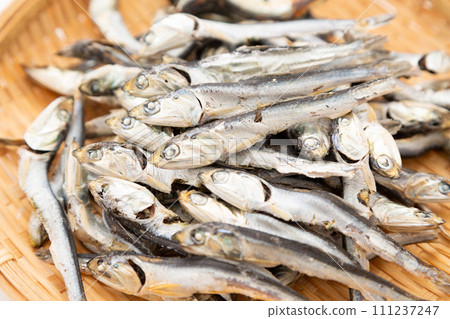 沙丁魚乾(iriko) 沙丁魚乾(iriko) 111237247