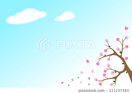 Cherry tree simple background sky Cherry tree simple background sky 111237383