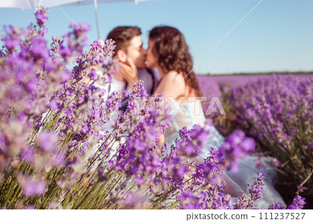 A couple in love under a white umbrella on a lavender field love A couple in love under a white umbrella on a lavender field love 111237527
