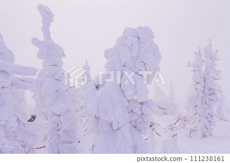 [Yamagata] Whiteout snow monster (frozen ice) near Jizosancho Station, Zao Onsen Ski Resort 111238161