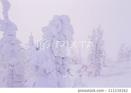 [山形]藏王溫泉滑雪場地藏山町站附近的白色雪怪（冰凍） 111238162