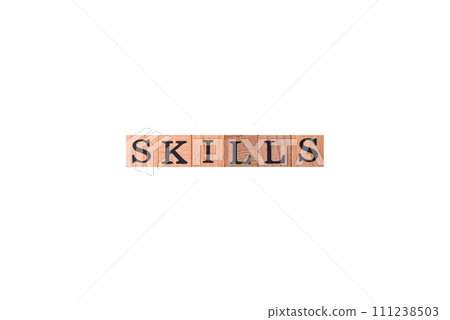 The inscription Skills made of wooden cubes on a plain background The inscription Skills made of wooden cubes on a plain background 111238503