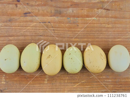 Chicken eggs in row on wooden rustic table. Top view and flat lay Chicken eggs in row on wooden rustic table. Top view and flat lay 111238761