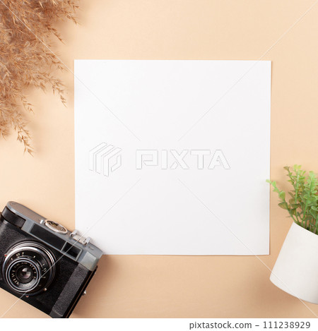 Mocup on a beige background. Beautiful plants, empty white space for text. Advertising is a design post. flat lay Camera For the photographer Mocup on a beige background. Beautiful plants, empty white space for text. Advertising is a design post. flat lay Camera For the photographer 111238929