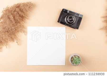 Mocup on a beige background. Beautiful plants, empty white space for text. Advertising is a design post. flat lay Camera For the photographer Mocup on a beige background. Beautiful plants, empty white space for text. Advertising is a design post. flat lay Camera For the photographer 111238930