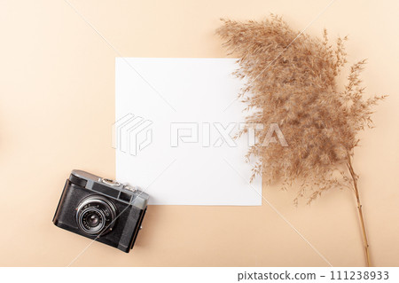 Mocup on a beige background. Beautiful plants, empty white space for text. Advertising is a design post. flat lay Camera For the photographer Mocup on a beige background. Beautiful plants, empty white space for text. Advertising is a design post. flat lay Camera For the photographer 111238933