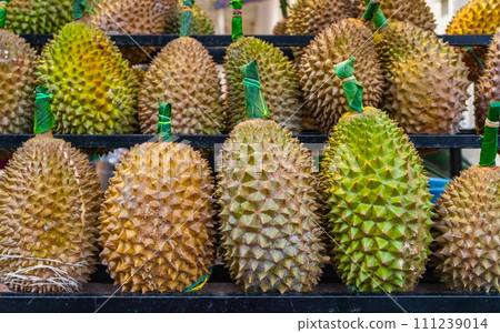 Durian fruits lying on the counter 111239014