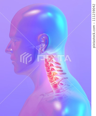 Neck painful skeleton x-ray, 3D illustration. Neck painful skeleton x-ray, 3D illustration. 111239042
