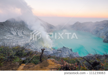 Beautiful scenery view of Kawah Ijen volcano in Java island of Indonesia at dawn. Beautiful scenery view of Kawah Ijen volcano in Java island of Indonesia at dawn. 111239063
