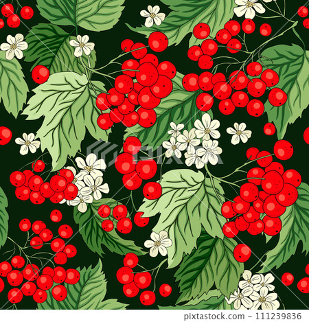 Viburnum rowan red berry flower seamless vector pattern background. Autumn floral fruit bouquet 111239836