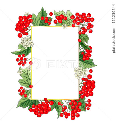 Viburnum rowan rectangle red berry vector frame rustic floral bouquet illustration 111239844