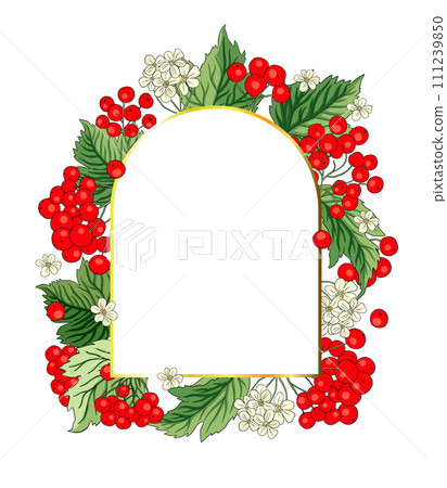 Viburnum rowan red berry vector frame rustic floral bouquet illustration 111239850